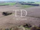 Vignette - Agricultural - Terres céréalières sur 38 hectares