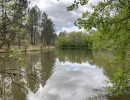 Vignette - Foncière - Propriété comprenant une forêt feuillue et résineuse de 40ha environ, un étang, un chalet en bois et un garage, en Dordogne