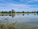 Vignette - Land - Domaine de chasse en Brenne (Indre 36) à vendre