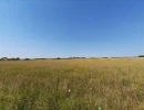 Vignette - Agricultural - NORD INDRE