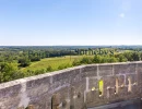 Vignette - Prestigious - FOR SALE - SAINT EMILION - MASTER HOUSE - OUTBUILDING - 5HA