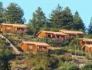 Vignette - Tourist - Dpt Corse (20), à vendre EVISA, ensemble de six chalets en bois avec terrasse, sur terrain avec piscine et parking