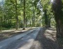 Vignette - Forestière - Domaine de Chasse et d'Agrément - Maison de Maître - Rendez vous de Chasse - Maison de Gardien - Maison d'Amis - Ferme - Dépendances - Etangs - Forêt