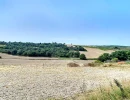 Vignette - Land - Agricultural land