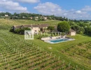 Vignette - Vineyard - Two fully renovated stone homes with hobby vineyard near Saint-Emilion