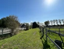 Vignette - Équestre - Haras sur 10,5 ha - baie du Mont Saint Michel