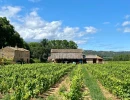 Vignette - Vineyard - Dpt Gard (30), Wine estate of 16 hectares with cellar and old independent farm.