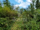 Vignette - Forestière - Lot de deux parcelles attenantes de 6,4 ha - bois de taillis et chênes