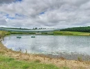 Vignette - Agricultural - Orchard property