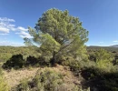 Vignette - Foncière - Terrain de loisir