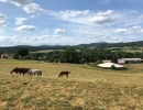 Vignette - Equestrian - Domaine équestre d'exception