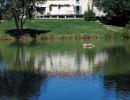 Vignette - Forestière - PROPRIETE EXCEPTIONNELLE AVEC  ETANG DE PECHE 5HA ET 2 MAISO