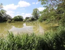 Vignette - Land - 1.5 ACRE POND