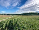 Vignette - Agricole - Propriété de 75ha dont 70 de terres de vallées irriguées (Dordogne)