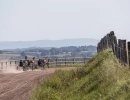 Vignette - Équestre - Haras / Equestre