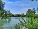 Vignette - Land - CAMARGUE ETANG DE PECHE 3,4 HA