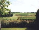 Vignette - Vineyard - For sale Charming  wine estate of around 7 ha near Saint-Emilion