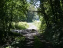 Vignette - Forest - Forêt mixte péri-urbaine de 5,8 ha dans le Puy-de-Dôme