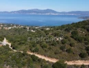 Vignette - Forestière - Dpt Corse (20), à vendre PIETROSELLA terrain