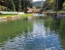 Vignette - Touristique - Dpt Bas-Rhin (67), à vendre proche de SAALES propriete P5 avec CHALET T5 + SALLE des FETES + ETANG / terrain de 1 ha où 10000 m2 environ