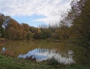 Vignette - Foncière - Etang de 3.000 m² env. sur terrain de loisir de 3,5 hectares