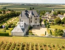 Vignette - Vineyard - Magnificent manor with extensive park and vineyard