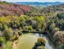 Vignette - Forestière - ARIEGE PROPRIETE FORESTIERE 54 HA