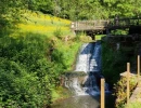 Vignette - Touristique - Dpt Vosges (88), à vendre proche de CONTREXEVILLE rare MOULIN sur 2 hectares de terrain - à découvrir !