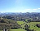 Vignette - Forest - Forêt à bon potentiel dans un cadre d'exception