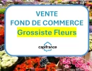 Vignette - Agricultural - BASTIA : vente FDC GROSSISTE FLEURS ET PLANTES