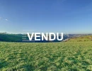 Vignette - Foncière - Terrain agricole