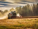 Vignette - Agricole - YONNE EXPLOITATION AGRICOLE 276 HA