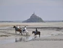 Vignette - Équestre - Ecurie sur 10,5 ha - baie du Mont Saint Michel