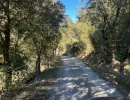 Vignette - Tourist - 180 ha bois et prairies, gîtes (Aude)