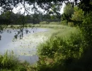 Vignette - Equestrian - AUDE DOMAINE 184 HA LAC GÎTES