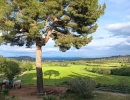 Vignette - Equestrian - Propriété d'execption à Manosque (04)