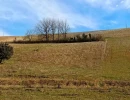 Vignette - Foncière - Terrain agricole