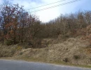 Vignette - Forestière - Terrain boisé – forêt