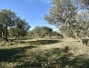 Vignette - Agricole - Terrain à vendre  FONTVIEILLE (13)