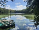 Vignette - Forest - Dpt (88), for sale ESTATE / PROPERTY of + 27 Ha with RESTAURANT, 3 PONDS and FOREST