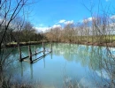 Vignette - Foncière - Terrain de loisirs avec étang - Bain-de-Bretagne