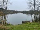 Vignette - Forest - Étangs de pêche sportive