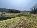 Vignette - Forest - ROANNAISE COAST LAND 2 HECTARES + POND