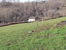 Vignette - Agricultural - Propriete à vendre 8 pièces GLANGES (87)