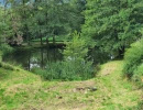 Vignette - Prestige - Dpt Vosges (88), à vendre proche REMIREMONT - DOMAINE PLAIN-PIED idéal GITE DE GROUPE avec ETANG