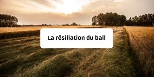 La résiliation du bail