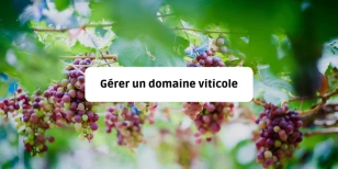 Gérer un domaine viticole