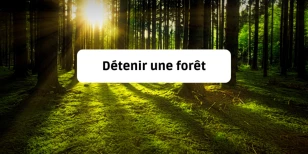 Détenir une forêt