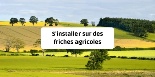 S’installer sur des friches agricoles