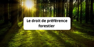 Le droit de préférence forestier